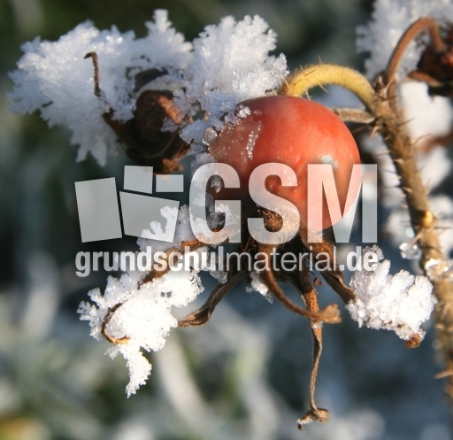 Winterimpressionen 042.jpg